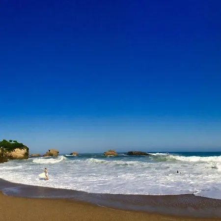 Brua Lb - Pb - Bel Appartement T3 Grange Plage Design Parking * Biarritz